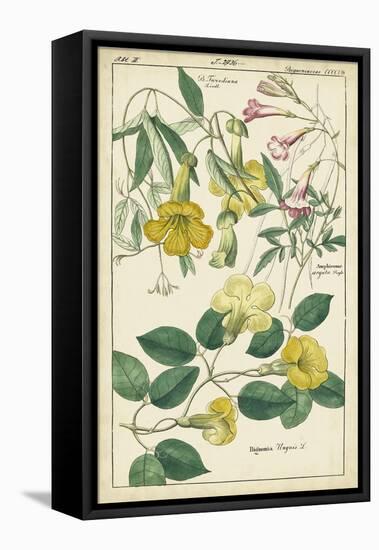 Spring Blooms II-Dietrich-Framed Stretched Canvas