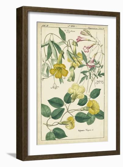 Spring Blooms II-Dietrich-Framed Art Print