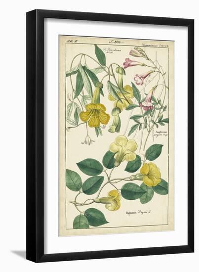 Spring Blooms II-Dietrich-Framed Art Print