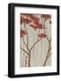 Spring Blooms IIb-Herb Dickinson-Framed Photographic Print