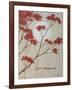 Spring Blooms IIc-Herb Dickinson-Framed Photographic Print