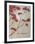 Spring Blooms IIc-Herb Dickinson-Framed Photographic Print