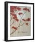 Spring Blooms IIc-Herb Dickinson-Framed Photographic Print
