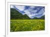 Spring Blooms in Valtellina, Near the Village of Sirta. Lombardy, Italy, Europe-Roberto Moiola-Framed Photographic Print