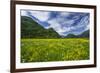 Spring Blooms in Valtellina, Near the Village of Sirta. Lombardy, Italy, Europe-Roberto Moiola-Framed Photographic Print
