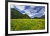 Spring Blooms in Valtellina, Near the Village of Sirta. Lombardy, Italy, Europe-Roberto Moiola-Framed Photographic Print