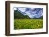 Spring Blooms in Valtellina, Near the Village of Sirta. Lombardy, Italy, Europe-Roberto Moiola-Framed Photographic Print