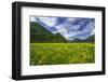 Spring Blooms in Valtellina, Near the Village of Sirta. Lombardy, Italy, Europe-Roberto Moiola-Framed Photographic Print