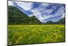 Spring Blooms in Valtellina, Near the Village of Sirta. Lombardy, Italy, Europe-Roberto Moiola-Mounted Photographic Print