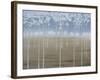 Spring Blooms IV-Herb Dickinson-Framed Photographic Print