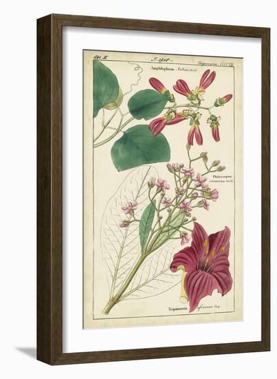 Spring Blooms IV-Dietrich-Framed Art Print