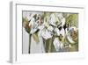 Spring Blooms-Angela Maritz-Framed Giclee Print