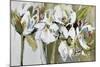 Spring Blooms-Angela Maritz-Mounted Giclee Print