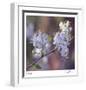 Spring Blooms-Ken Bremer-Framed Limited Edition