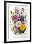 Spring Blooms-Jane W. Loudon-Framed Giclee Print