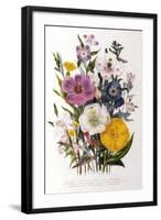 Spring Blooms-Jane W. Loudon-Framed Giclee Print