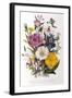 Spring Blooms-Jane W. Loudon-Framed Giclee Print