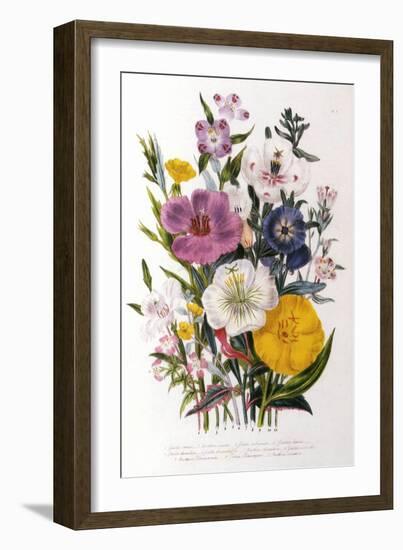 Spring Blooms-Jane W. Loudon-Framed Giclee Print