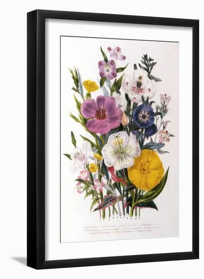 Spring Blooms-Jane W. Loudon-Framed Giclee Print