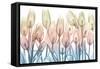 Spring Blooms-Albert Koetsier-Framed Stretched Canvas