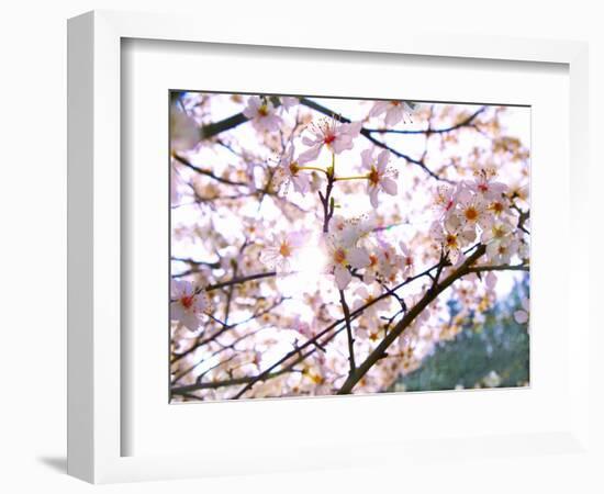 Spring Blossom, 2018-Helen White-Framed Giclee Print