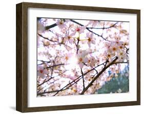 Spring Blossom, 2018-Helen White-Framed Giclee Print