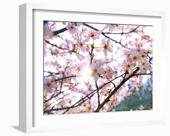 Spring Blossom, 2018-Helen White-Framed Giclee Print