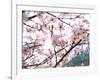 Spring Blossom, 2018-Helen White-Framed Giclee Print