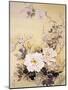 Spring Blossom 2-Haruyo Morita-Mounted Art Print