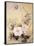 Spring Blossom 2-Haruyo Morita-Framed Stretched Canvas