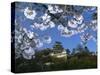 Spring Blossom and Himeji Castle, Built in 1580, Himeji, West Honshu, Japan-Robert Francis-Stretched Canvas