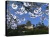 Spring Blossom and Himeji Castle, Built in 1580, Himeji, West Honshu, Japan-Robert Francis-Stretched Canvas