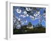 Spring Blossom and Himeji Castle, Built in 1580, Himeji, West Honshu, Japan-Robert Francis-Framed Photographic Print