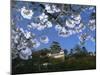 Spring Blossom and Himeji Castle, Built in 1580, Himeji, West Honshu, Japan-Robert Francis-Mounted Photographic Print