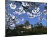 Spring Blossom and Himeji Castle, Built in 1580, Himeji, West Honshu, Japan-Robert Francis-Mounted Photographic Print