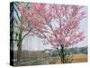 Spring Blossom and Lake at Ueno-Koen Park, Ueno, Tokyo, Japan-Richard Nebesky-Stretched Canvas