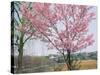 Spring Blossom and Lake at Ueno-Koen Park, Ueno, Tokyo, Japan-Richard Nebesky-Stretched Canvas