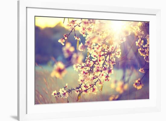 Spring Blossom Background. Beautiful Nature Scene with Blooming Tree and Sun Flare. Sunny Day. Spri-Subbotina Anna-Framed Photographic Print