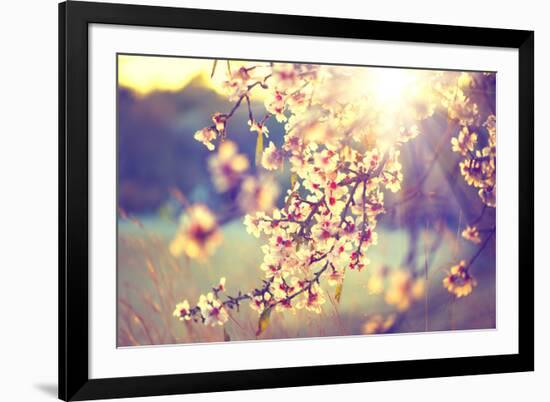 Spring Blossom Background. Beautiful Nature Scene with Blooming Tree and Sun Flare. Sunny Day. Spri-Subbotina Anna-Framed Photographic Print