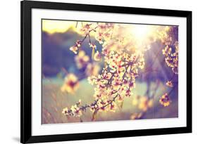 Spring Blossom Background. Beautiful Nature Scene with Blooming Tree and Sun Flare. Sunny Day. Spri-Subbotina Anna-Framed Photographic Print