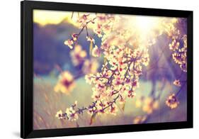 Spring Blossom Background. Beautiful Nature Scene with Blooming Tree and Sun Flare. Sunny Day. Spri-Subbotina Anna-Framed Photographic Print