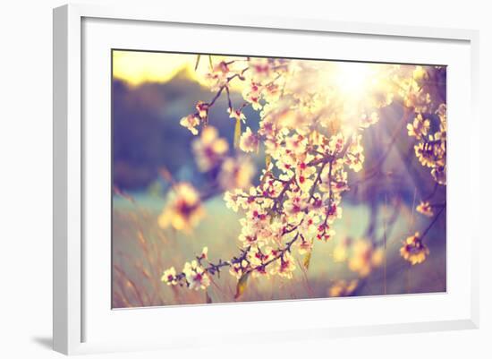 Spring Blossom Background. Beautiful Nature Scene with Blooming Tree and Sun Flare. Sunny Day. Spri-Subbotina Anna-Framed Photographic Print