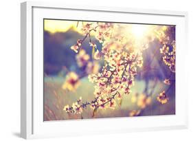 Spring Blossom Background. Beautiful Nature Scene with Blooming Tree and Sun Flare. Sunny Day. Spri-Subbotina Anna-Framed Photographic Print