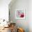 Spring Blossom Birds II-Sandra Jacobs-Framed Giclee Print displayed on a wall