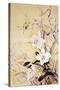 Spring Blossom I-Haruyo Morita-Stretched Canvas