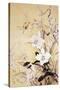 Spring Blossom I-Haruyo Morita-Stretched Canvas