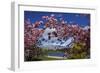 Spring Blossom, Lake Wakatipu and the Remarkables, Queenstown, Otago, South Island, New Zealand-David Wall-Framed Photographic Print