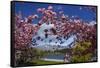 Spring Blossom, Lake Wakatipu and the Remarkables, Queenstown, Otago, South Island, New Zealand-David Wall-Framed Stretched Canvas