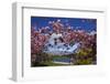 Spring Blossom, Lake Wakatipu and the Remarkables, Queenstown, Otago, South Island, New Zealand-David Wall-Framed Photographic Print