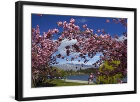 Spring Blossom, Lake Wakatipu and the Remarkables, Queenstown, Otago, South Island, New Zealand-David Wall-Framed Photographic Print